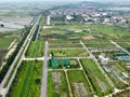 Hà Nội: Sắp đấu giá 72 lô đất, giá từ 6,3 triệu đồng/m2