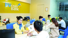 'Sắc vàng' PVcomBank: Tin để vươn xa