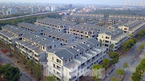 Kiểm điểm loạt cán bộ để chủ dự án vườn Vạn Tuế 'xây chui, bán trộm' thu hàng trăm tỷ