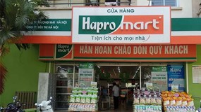 Tập đoàn BRG mở thêm 10 cửa hàng Haprofood phục vụ nhân dân thủ đô mua sắm hàng hóa tiêu dùng thiết yếu