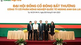 Ông Trần Bá Dương kiêm thêm chức Chủ tịch HĐQT HAGL Agrico