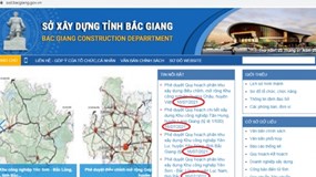 Bắc Giang công bố phê duyệt quy hoạch loạt khu công nghiệp gần 800ha trong 1 ngày