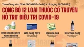 Chuyên gia Ngô Trí Long: Lợi dụng tăng giá thuốc cổ truyền điều trị Covid-19 là tội ác