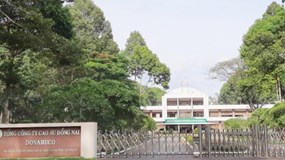 Sai phạm tại nhiều dự án ở Đồng Nai gây thất thu ngân sách nhà nước