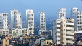 'Bán lúa non', chủ đầu tư dự án có thể bị phạt 800 triệu đồng