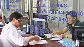 Mức đóng BHXH bắt buộc, BHTN, BHYT mới nhất đối với người lao động