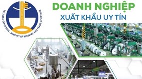 Những đơn vị nào vừa lọt danh sách “Doanh nghiệp xuất khẩu uy tín” năm 2020?