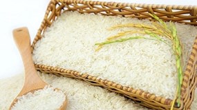 Nhãn hiệu Gạo Việt Nam được bảo hộ tại 22 quốc gia trên thế giới