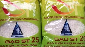 Gạo ST25 đoạt giải Á quân cuộc thi "Gạo ngon nhất thế giới 2020"