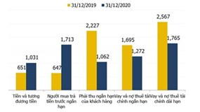 Năm 2020: Tổng tài sản VPI đạt 9,7 ngàn tỷ, tăng 8% so với 2019