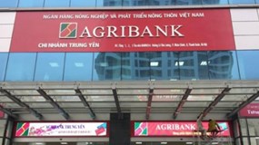 Agribank: Nợ xấu tăng 30%, “ôm” 89% bất động sản thế chấp