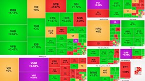 Cổ phiếu lớn tăng tốc, VN-Index lập đỉnh thời đại