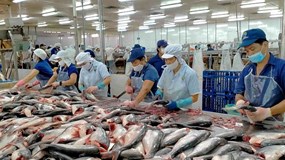 Chủ tịch Nam Việt (ANV) muốn thoái sạch vốn cá nhân: Cổ phiếu tăng 36%, lợi nhuận gấp 18 lần nhưng lãnh đạo vẫn tranh thủ ‘chốt lời’?