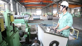 Bị phạt vì biến lỗ thành lãi, công ty đổ lỗi do máy tính cũ