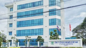 Công ty C.P. Việt Nam cùng 2 ông lớn ngành chăn nuôi sắp bị thanh tra