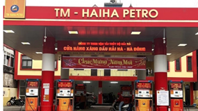 Hải Hà Petro bị rút giấy phép, loạt công ty con lộ khối nợ trăm tỷ