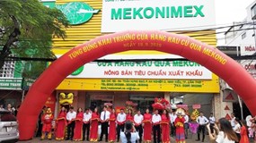 Hơn 10 triệu cổ phần của SCIC tại Mekonimex “bị ế”