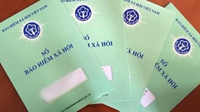 Điều kiện và mức hưởng trợ cấp thất nghiệp từ năm 2026