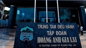 HAGL thoái vốn thành công tại HAGL Agrico