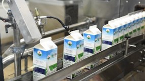 Lợi nhuận Mộc Châu Milk chạm đáy 5 năm