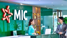 MIC: Lợi nhuận quý IV giảm 27% kéo lợi nhuận 2024 đi xuống