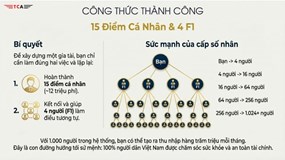 Bán bảo hiểm 'kiểu' Thái Sơn TCA: Hệ thống càng nhiều tầng càng thu nhập cao, lo ngại dấu hiệu 'đa cấp'