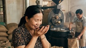 Giá cà phê hôm nay 22/1/2026: "Bốc hơi" 1.400 đồng/kg