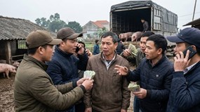 Giá heo hơi hôm nay 22/1: Dự báo tăng "phi mã" dịp Tết