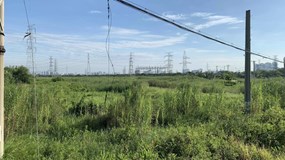 Từ 2026, những vi phạm đất đai có thể bị xử lý hình sự