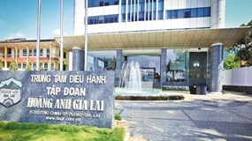 Hoàng Anh Gia Lai (HAGL) thoái sạch vốn tại HAGL Agrico thu về 600 tỷ, rút dòng tiền tất toán 700 tỷ nợ trái phiếu nhưng vẫn treo lãi hơn 1.500 tỷ
