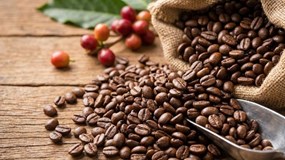 Giá cà phê hôm nay 30/1 điều chỉnh nhẹ nhưng vẫn trên 100.000 đ/kg