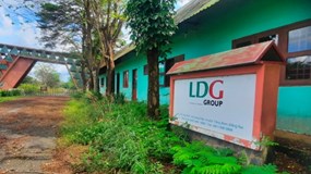 Đầu tư LDG tiếp tục lỗ