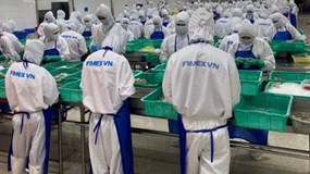 Doanh thu Thực phẩm Sao Ta giảm mạnh trong tháng 1/2026