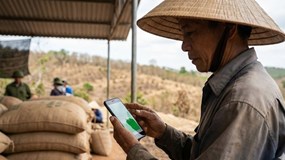 Giá cà phê hôm nay 5/2/2026: Nguồn cung khan, thị trường chờ tín hiệu mới