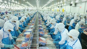 Vĩnh Hoàn bị HOSE nhắc nhở