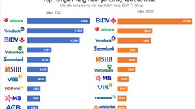 Top 10 ngân hàng có nợ xấu lớn nhất năm 2021