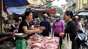 Giá heo hơi hôm nay 15/2: Miền Nam thấp nhất 70.000 đồng/kg