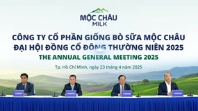 Công ty Cổ phần Giống Bò sữa Mộc Châu (MCM) tồn đọng hơn 633 tỷ đồng vốn huy động sau 5 năm, lợi nhuận 2025 chỉ đạt 72,8% kế hoạch