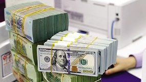 Công ty Cổ phần VSC Green Logistics (GIC) lợi nhuận 2025 giảm 10%, chốt quyền phát hành hơn 12 triệu cổ phiếu giá 10.000 đồng/cp