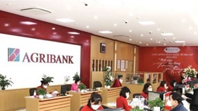 Agribank rao bán hàng loạt lô đất nông nghiệp tại Tp.HCM để xử lý nợ