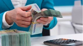 Công ty TNHH Địa ốc Toàn cầu - PICENZA và loạt doanh nghiệp Sơn La nợ thuế hơn 91 tỷ đồng