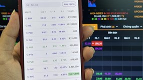 Cổ phiếu dầu khí bắt đầu phân hoá, chiến lược nào cho nhà đầu tư?