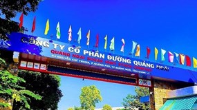 Thanh tra thuế Công ty Cổ phần Đường Quảng Ngãi