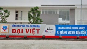 Công ty xi măng Đại Việt đã hoạt động ra sao?