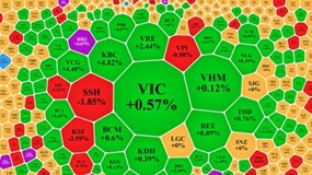 Cổ phiếu đảo chiều, VN-Index tăng hơn 11 điểm