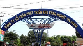 KCN Tín Nghĩa (TIP) thay Chủ tịch HĐQT trước ĐHĐCĐ, tiền mặt tăng vọt hơn 1.100 tỷ, mục tiêu lợi nhuận 2026 dự kiến giảm 23%