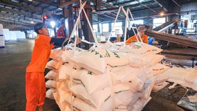 Nhà máy Đạm Phú Mỹ vận hành tối đa công suất, đảm bảo nguồn cung phân bón và sẵn sàng tận dụng cơ hội xuất khẩu
