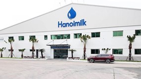 Cổ phiếu Hanoimilk liên tục “chuyền tay” nội bộ