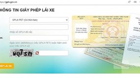 Xử lý 3 website giả mạo trang thông tin điện tử giấy phép lái xe