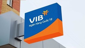 Người nhà lãnh đạo VIB năm nay lại vung tay mua lượng lớn cổ phiếu